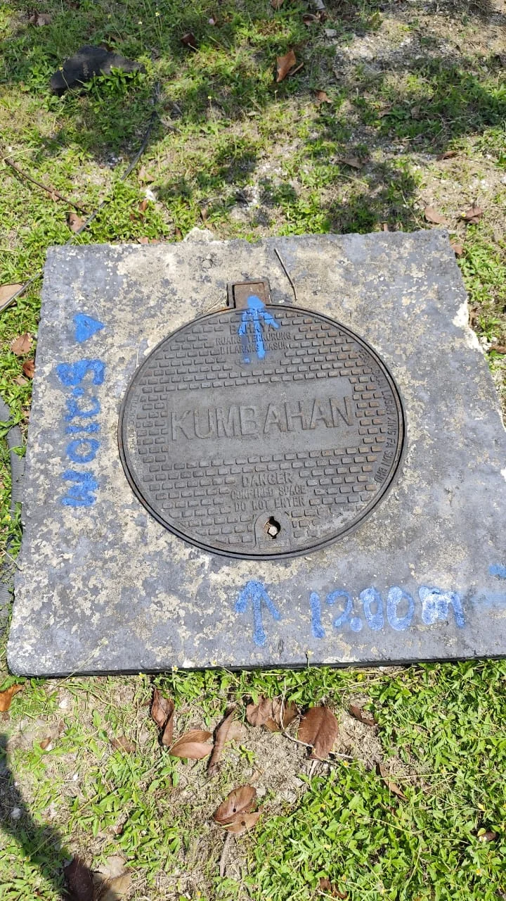 UMAP Activity - umap (65)